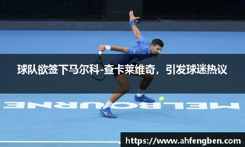 球队欲签下马尔科-查卡莱维奇，引发球迷热议