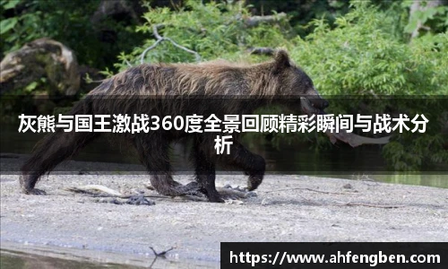 yy易游体育