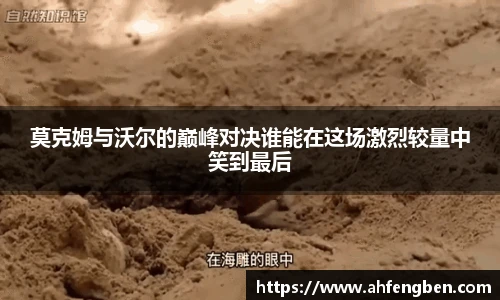 米乐yy易游体育
